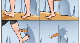 A funny and life-like comic that all cat owners will understand (12 photos)