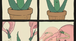 A strange and slightly repulsive comic with black humor (16 photos)