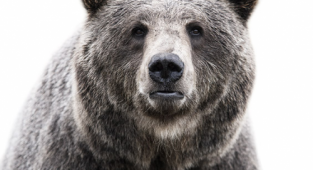 Фотограф Morten Koldby (11 картинок)