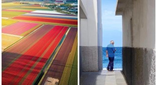 На радость перфекционистам — 22 фото, на которых прекрасно ВСЕ (22 фото)