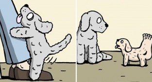 Comics by a French artist for lovers of unconventional and dark humor (24 photos)