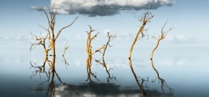 Международный конкурс пейзажных фото-1 (30 фото)