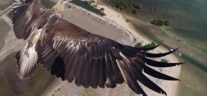 Победители фотоконкурса Dronestagram (7 фото)