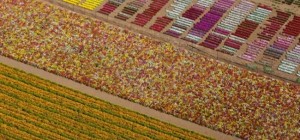 Воздушные перспективы от Алекса МакЛина (23 фото)