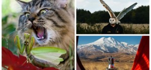 35 stunning photographs from around the world (36 photos)