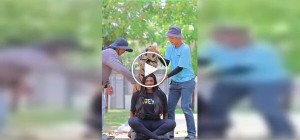 «Улыбнитесь»: рискованные фото с тигром