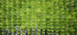 20 breathtaking aerial views