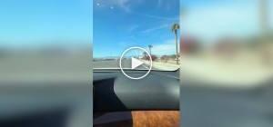 Необычный рисунок в Палм-Дезерт